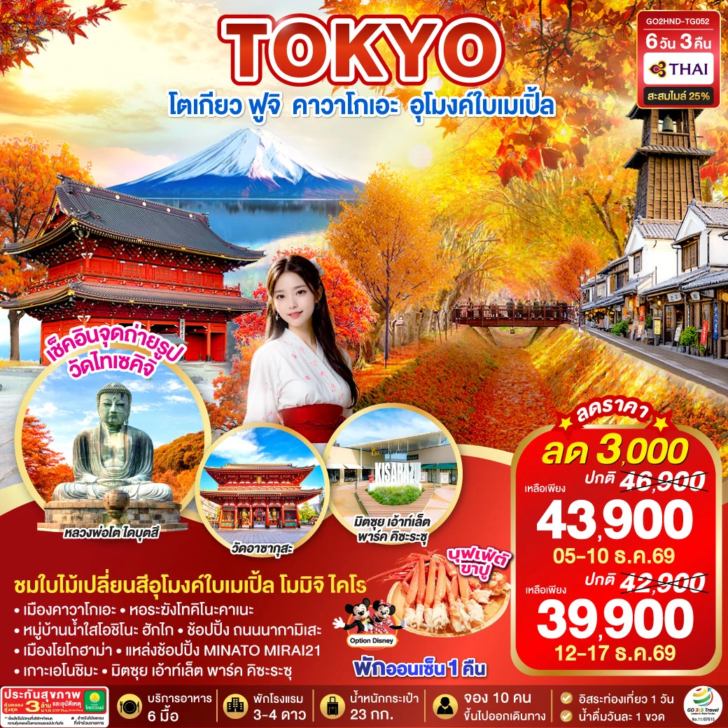 ทัวร์ญี่ปุ่น TOKYO FUJI MOMIJO KAIRO AUTUMN 6วัน 3คืน (TG)