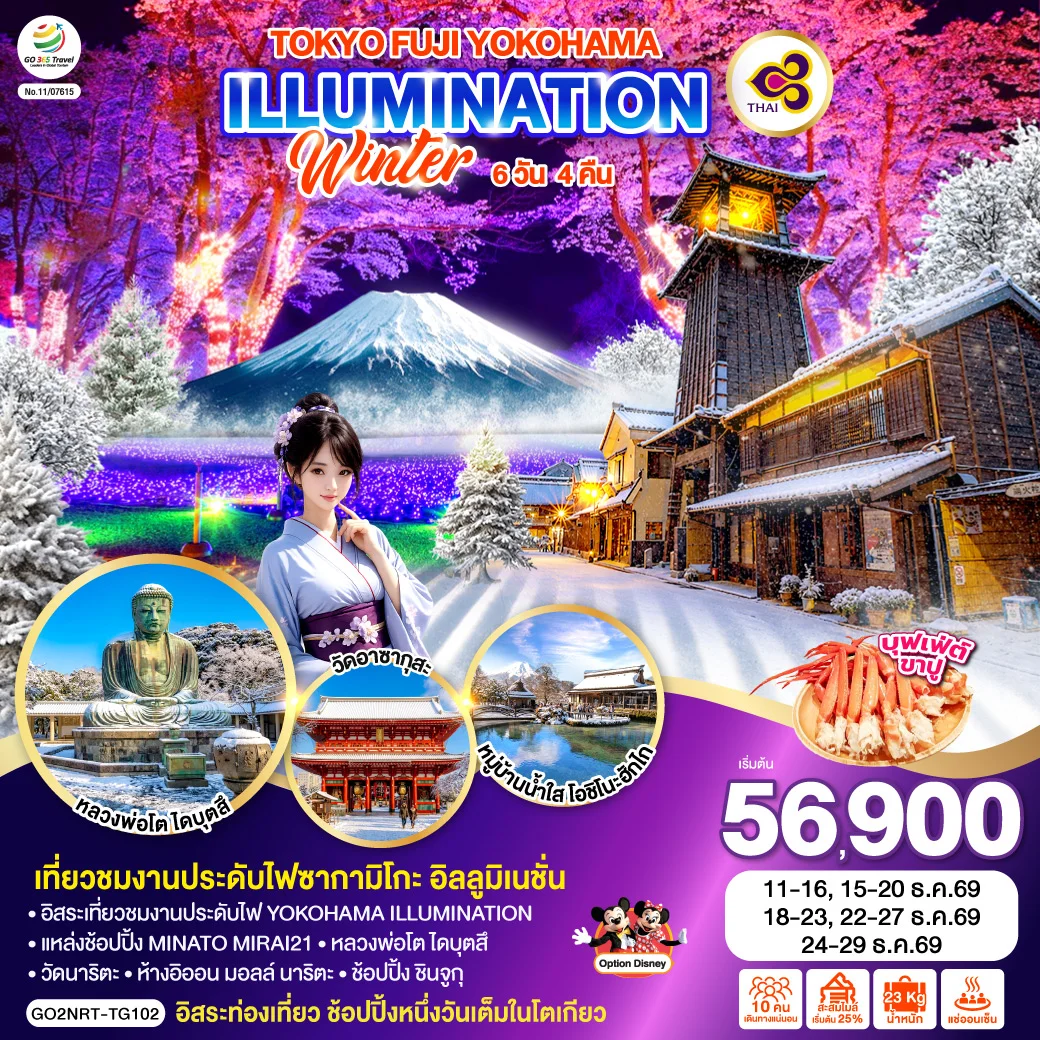 ทัวร์ญี่ปุ่น TOKYO FUJI YOKOHAMA ILLUMINATION WINTER 6วัน 4คืน (TG)