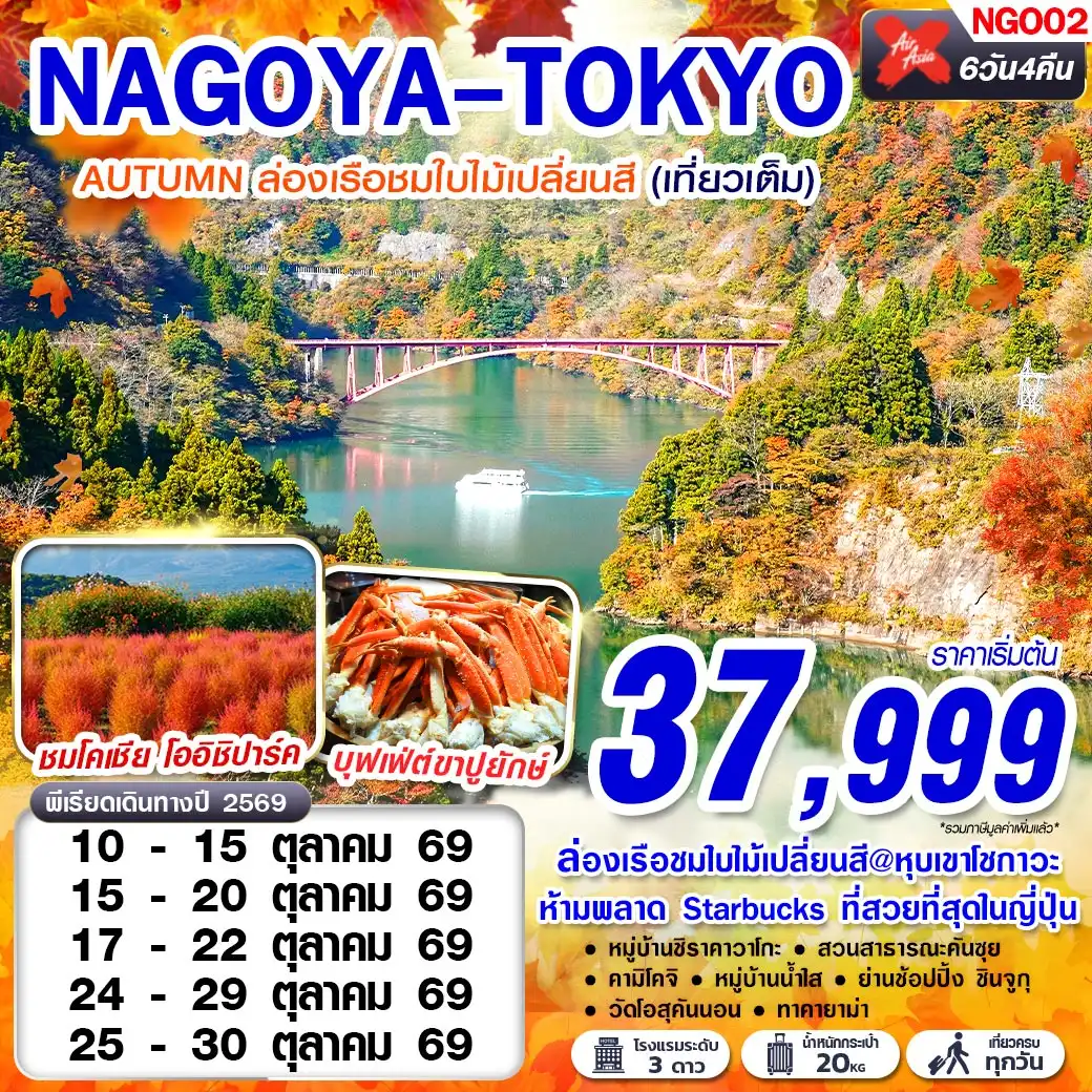 ทัวร์ญี่ปุ่น NAGOYA-TOKYO AUTUMN เที่ยวเต็มอิ่ม (เที่ยวเต็ม)  6วัน 4คืน (XJ)